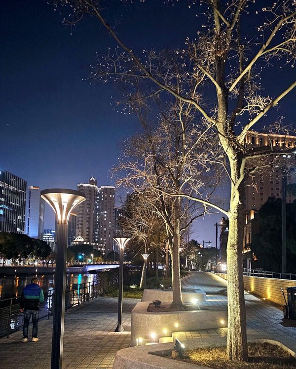 Shanghai at night — China travel tips 2026