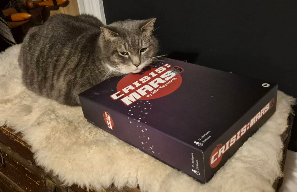 Grey moggy cat rests chin on Crisis Mars megagame box all on sheepskin rug