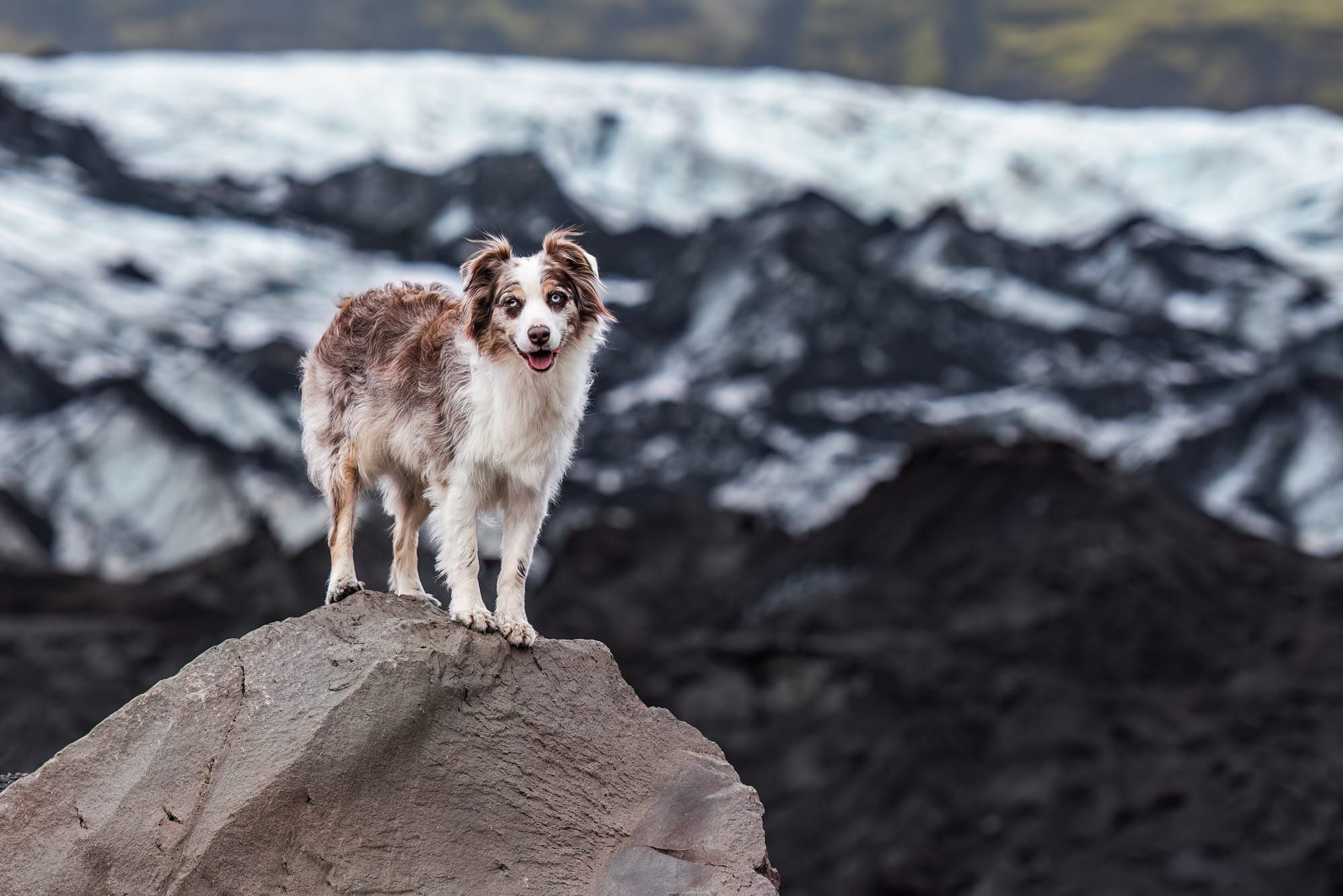 The path beyond fear leads home.
