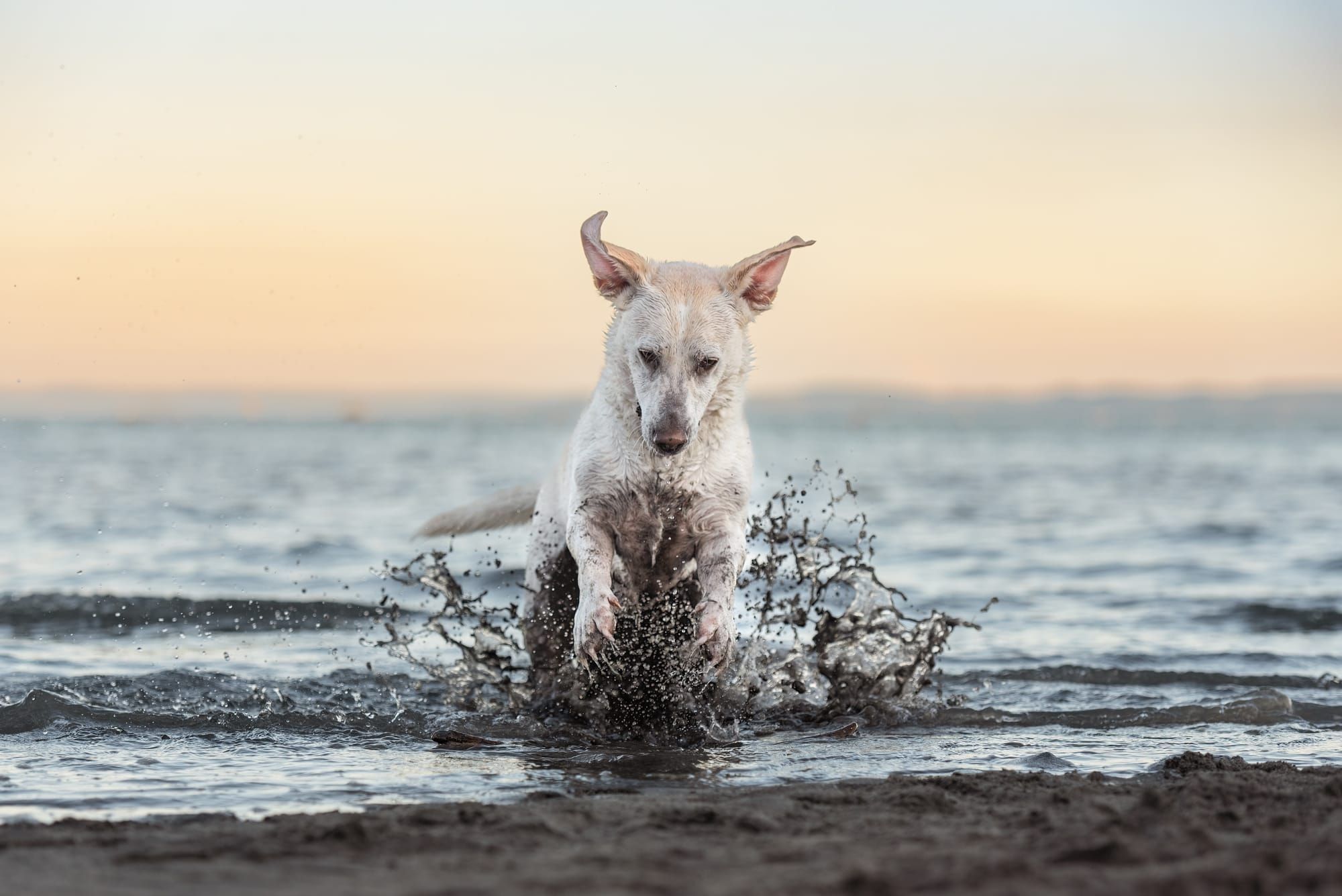 A new way forward, together.