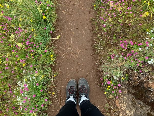 The courage to reach.