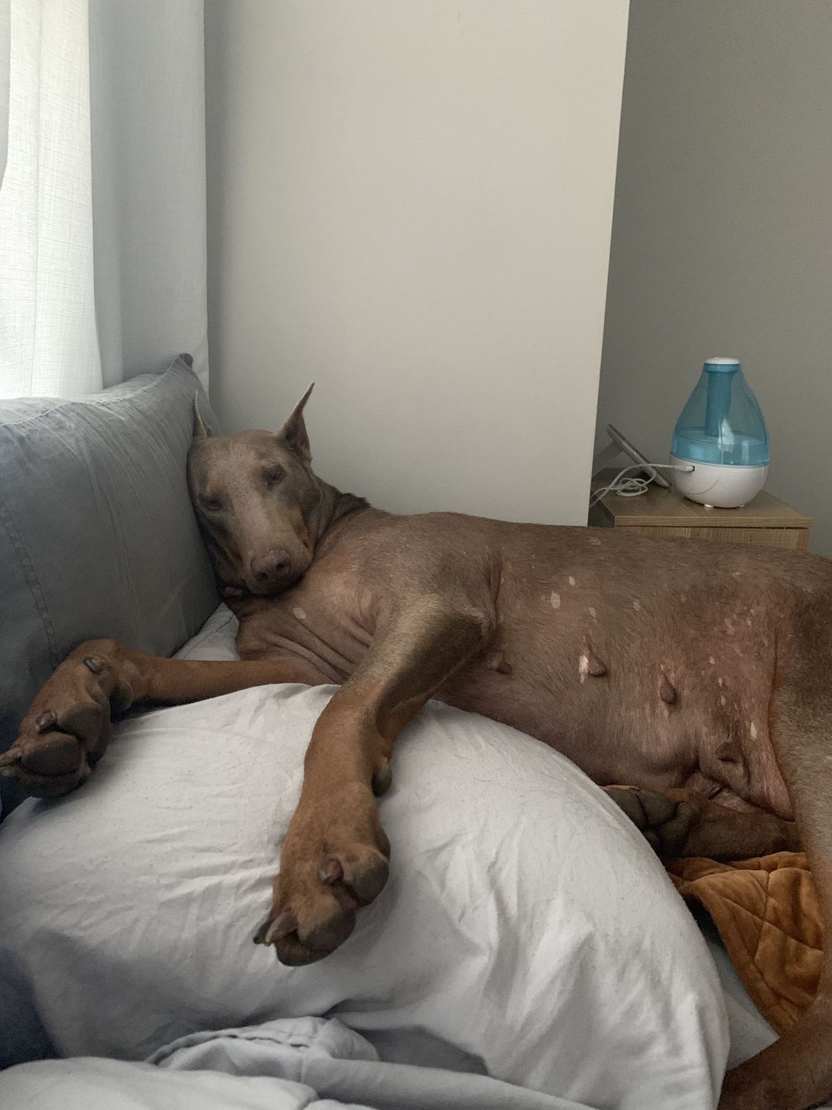 She Came to Visit Me