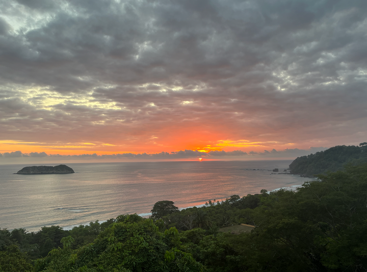 The Stranger In My Home