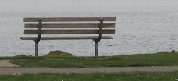 A bench overlooking water.