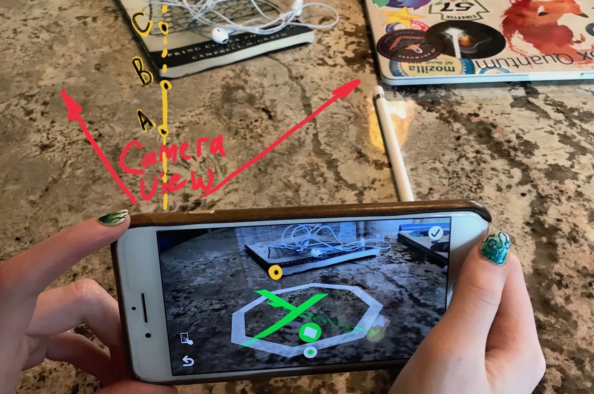 IMG_5587-annotated-crop