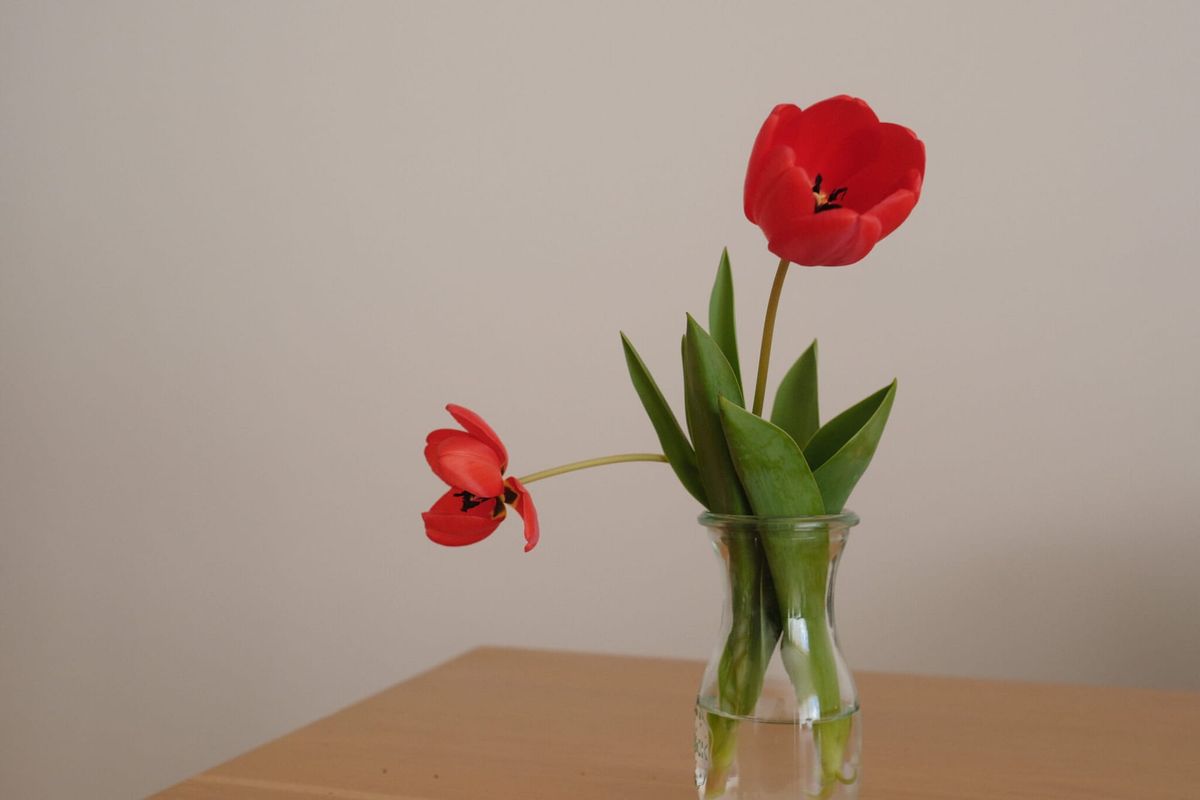 Shortlist 002: September