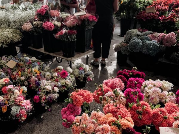 The Jonima Flowers stand at the farmers market. Dahlias, mixed blooms and hydrangea are on display.