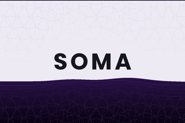 🌿 Somatic Experiencing — Outdoor Conversation, Puig-reig