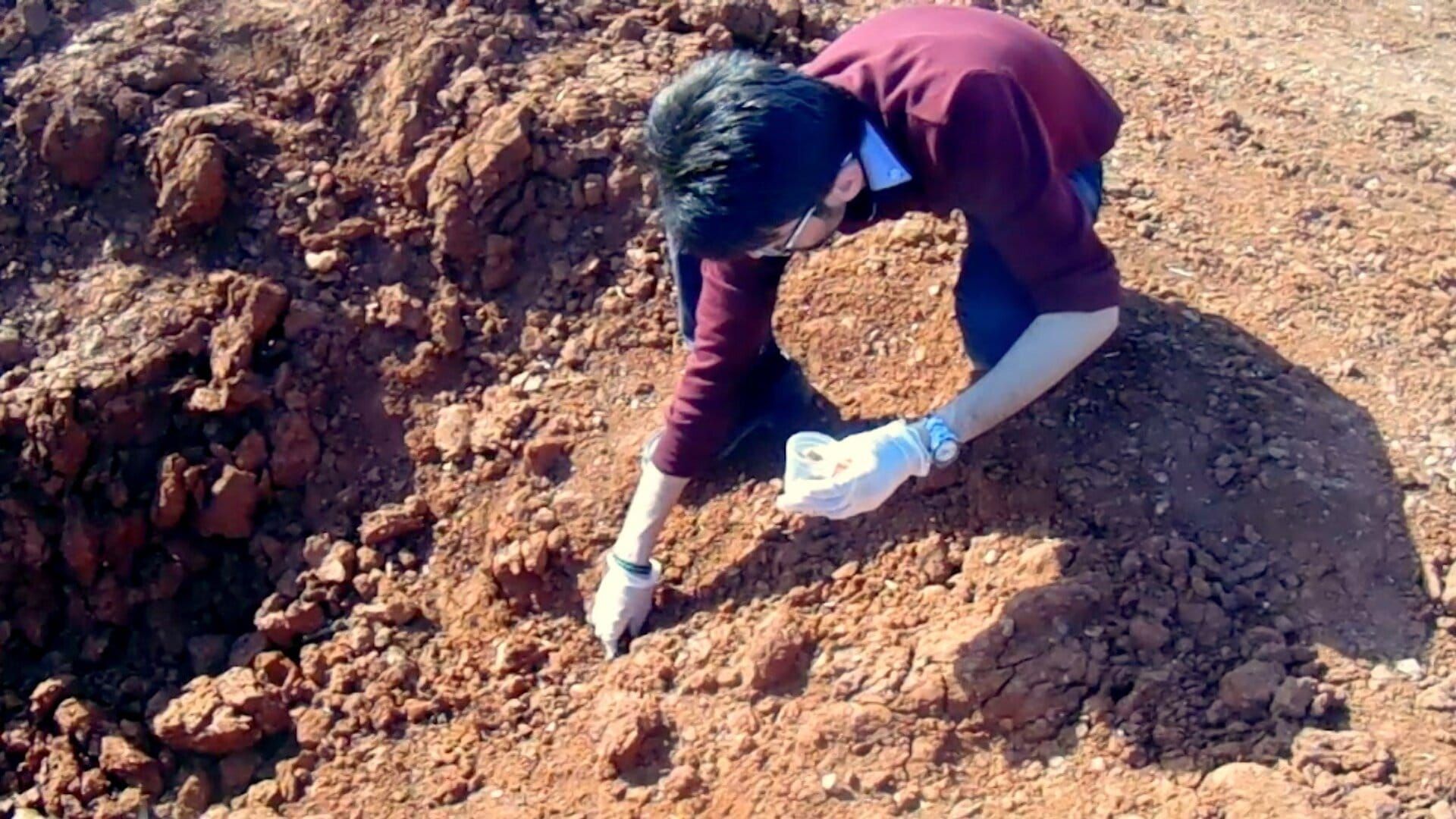 Syrie, la guerre toxique