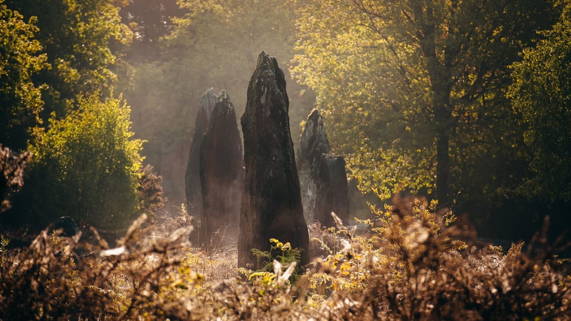 Celtes : les mystères d'une civilisation disparue