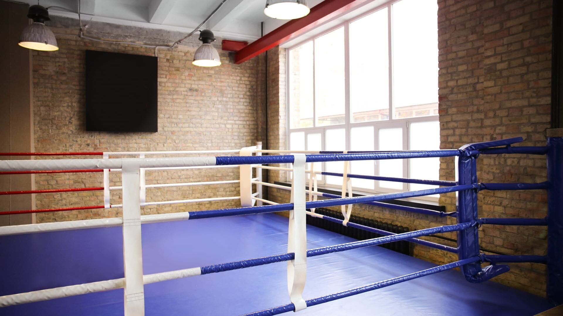 Boxe : Championnat du monde WBC