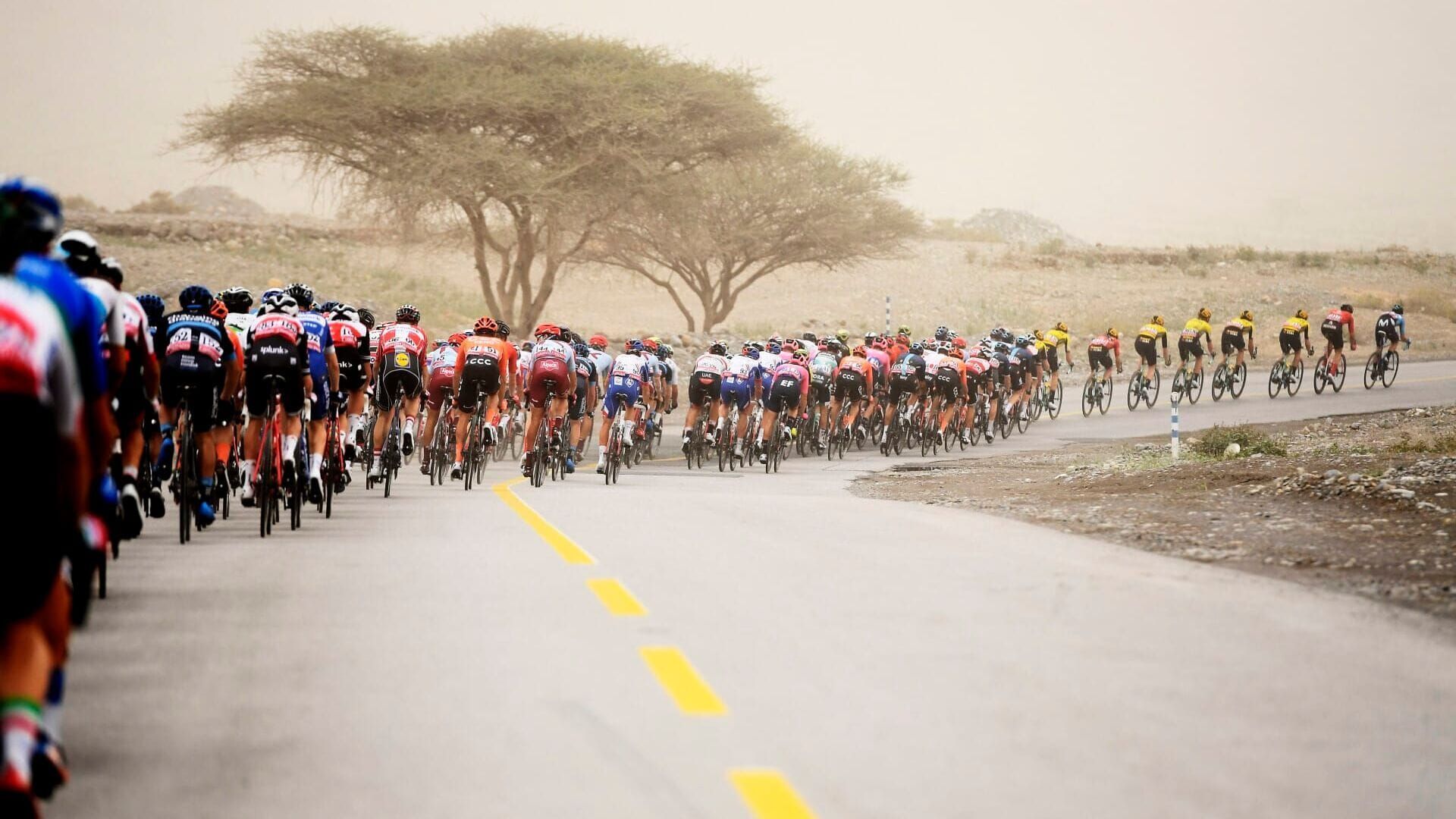 Cyclisme : Tour de Burgos