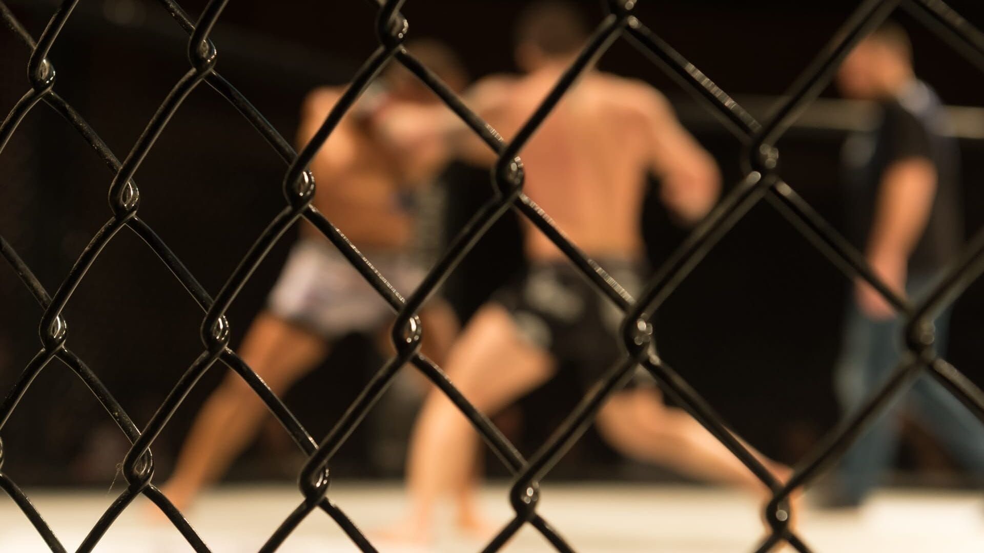 Format UFC