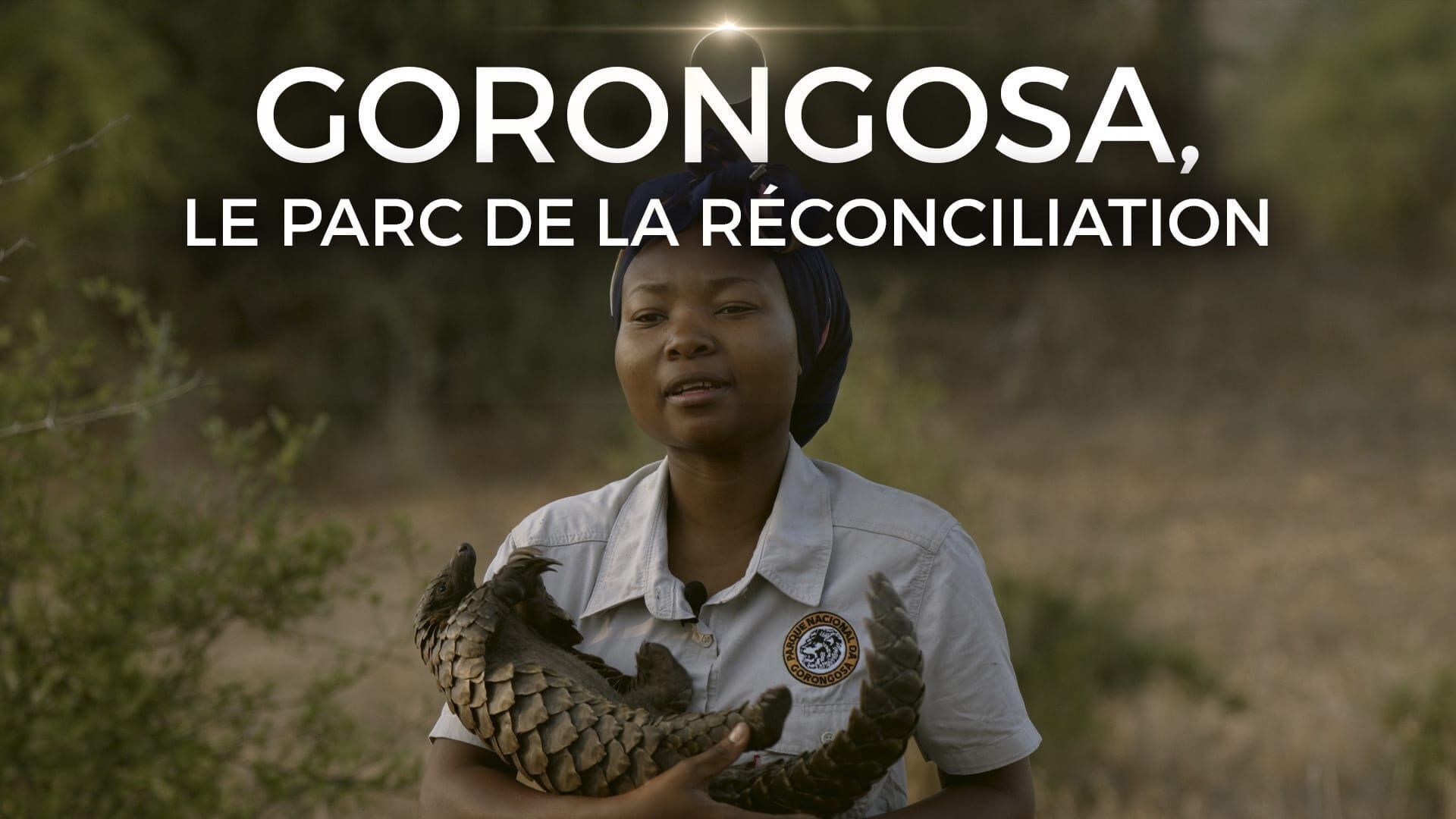 Gorongosa, le parc de la réconciliation