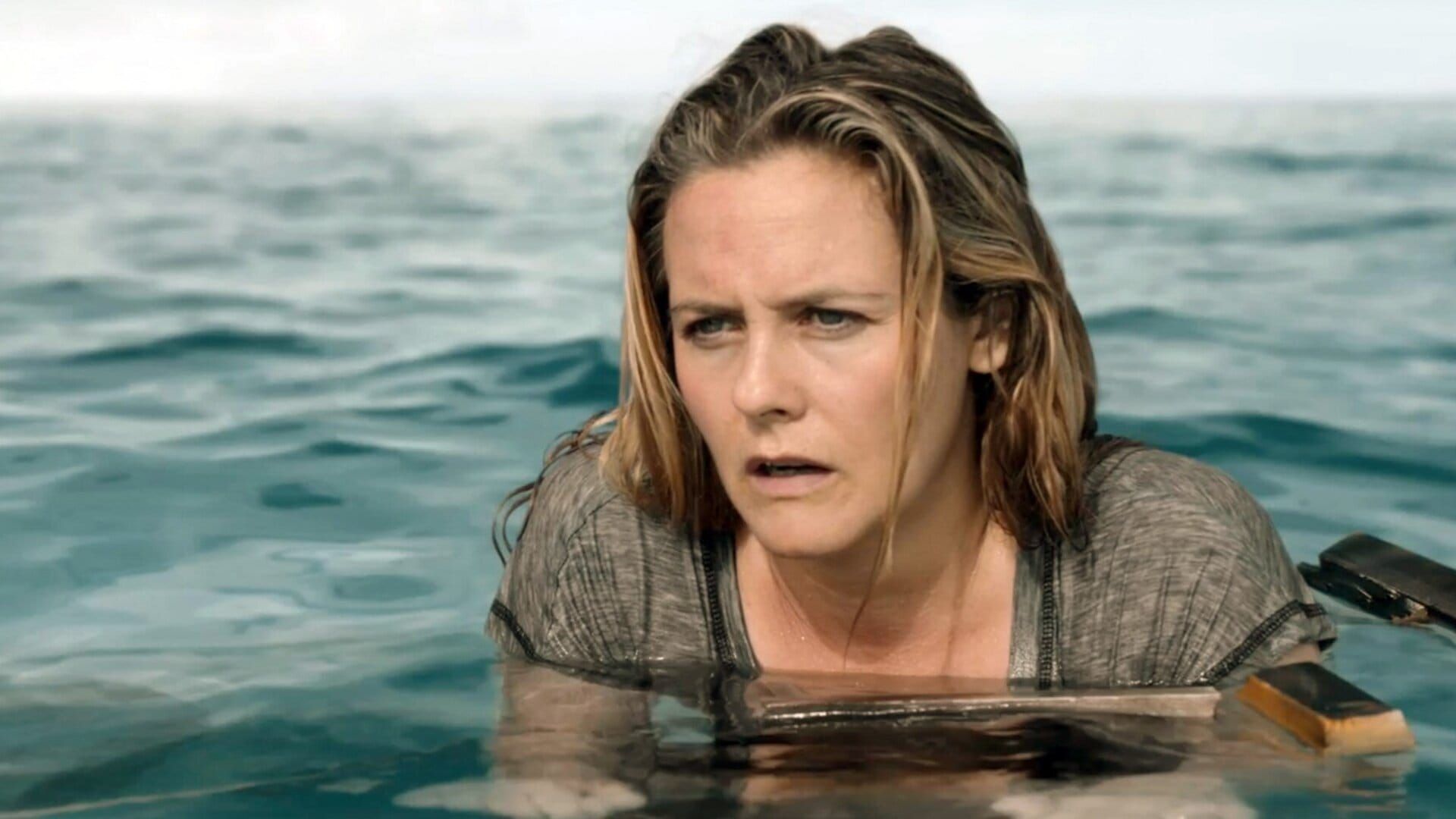 The Requin