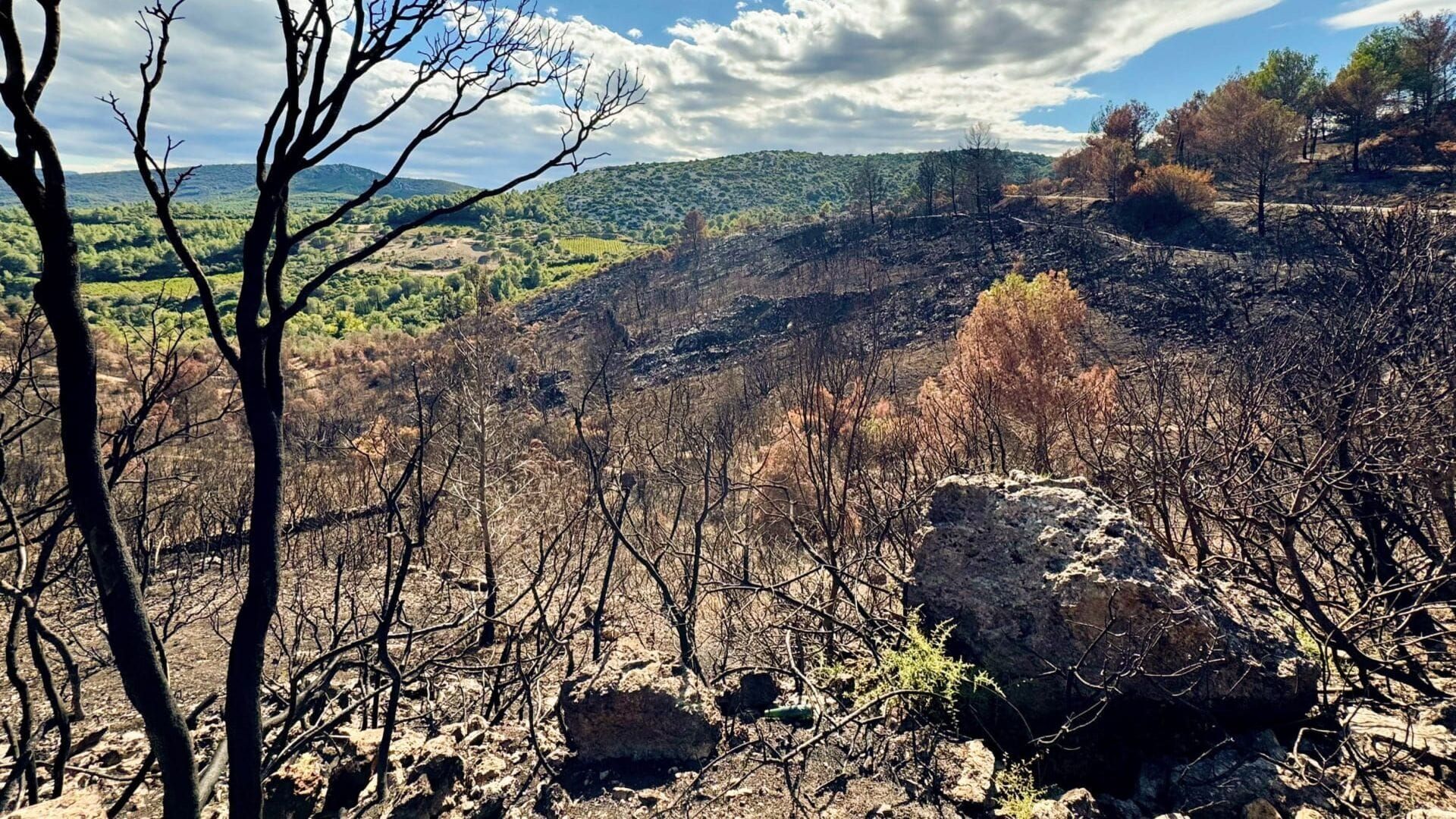 Incendies, innover pour mieux lutter