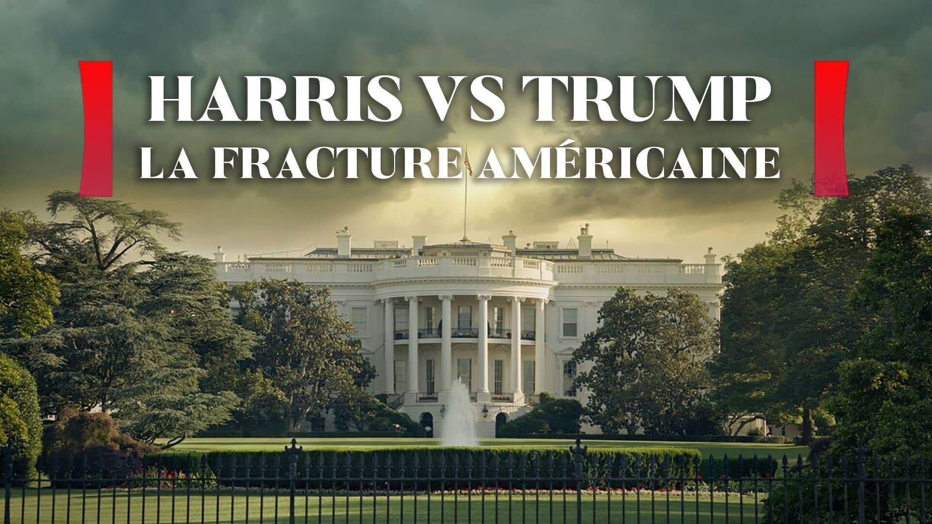 Harris vs Trump : la fracture américaine
