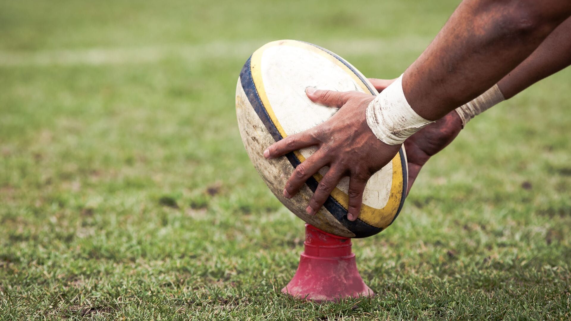 Rugby : Champions Cup