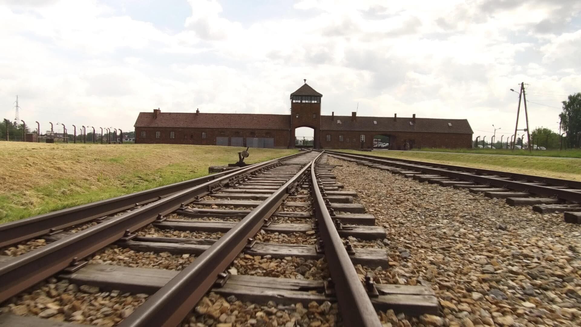 Auschwitz, la machine de mort nazie