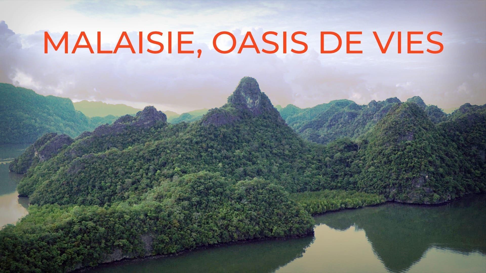 Malaisie, oasis de vies