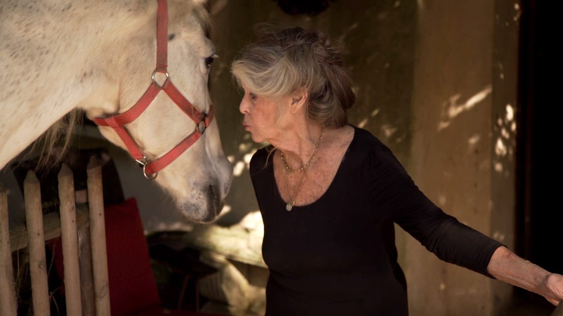 Brigitte Bardot : le serment fait aux animaux