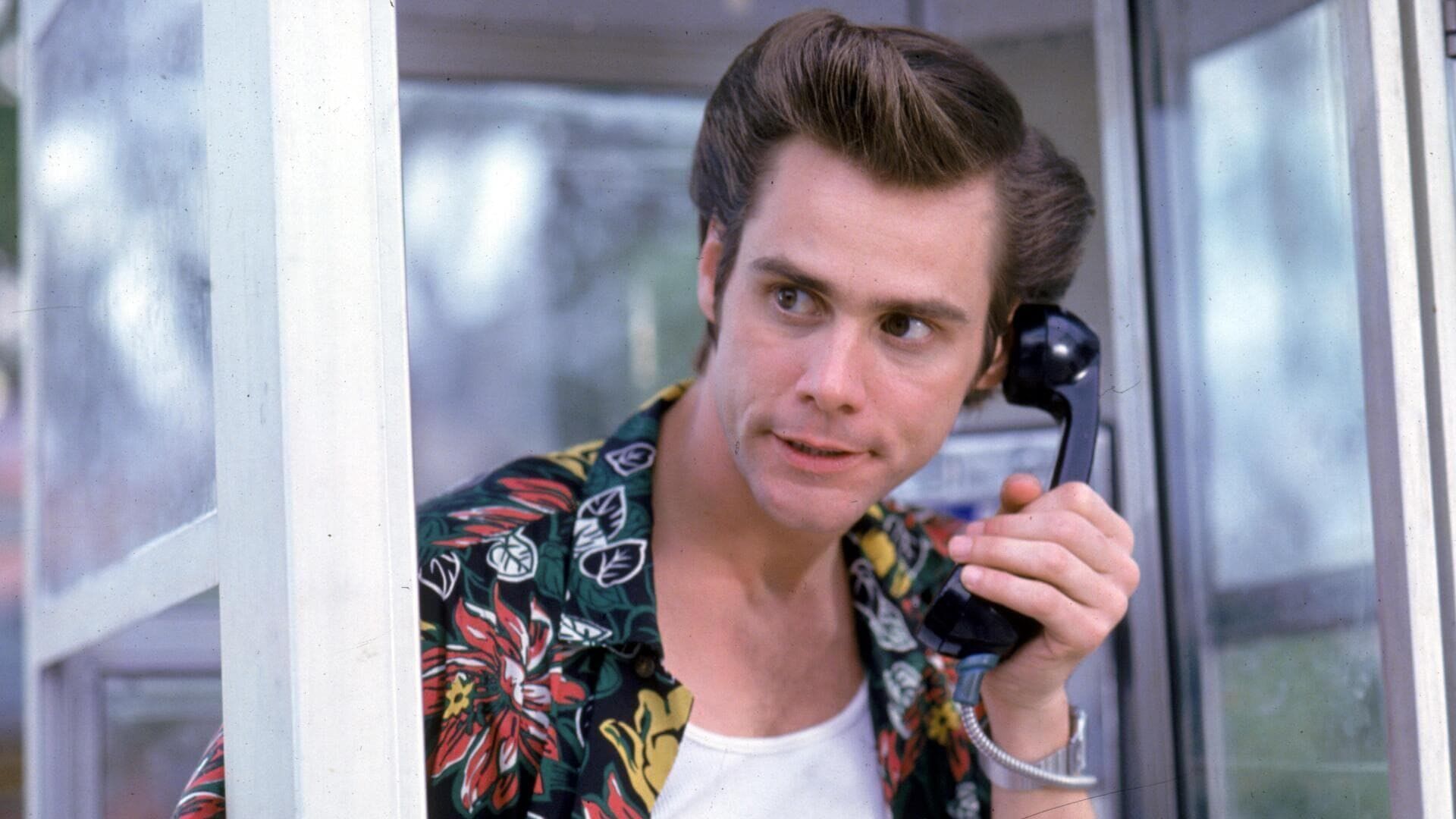 Ace Ventura, détective pour chiens et chats