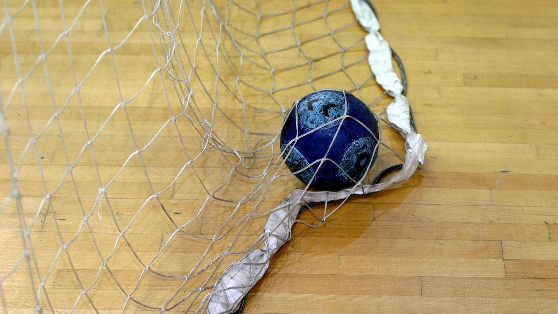 Handball : Euro masculin