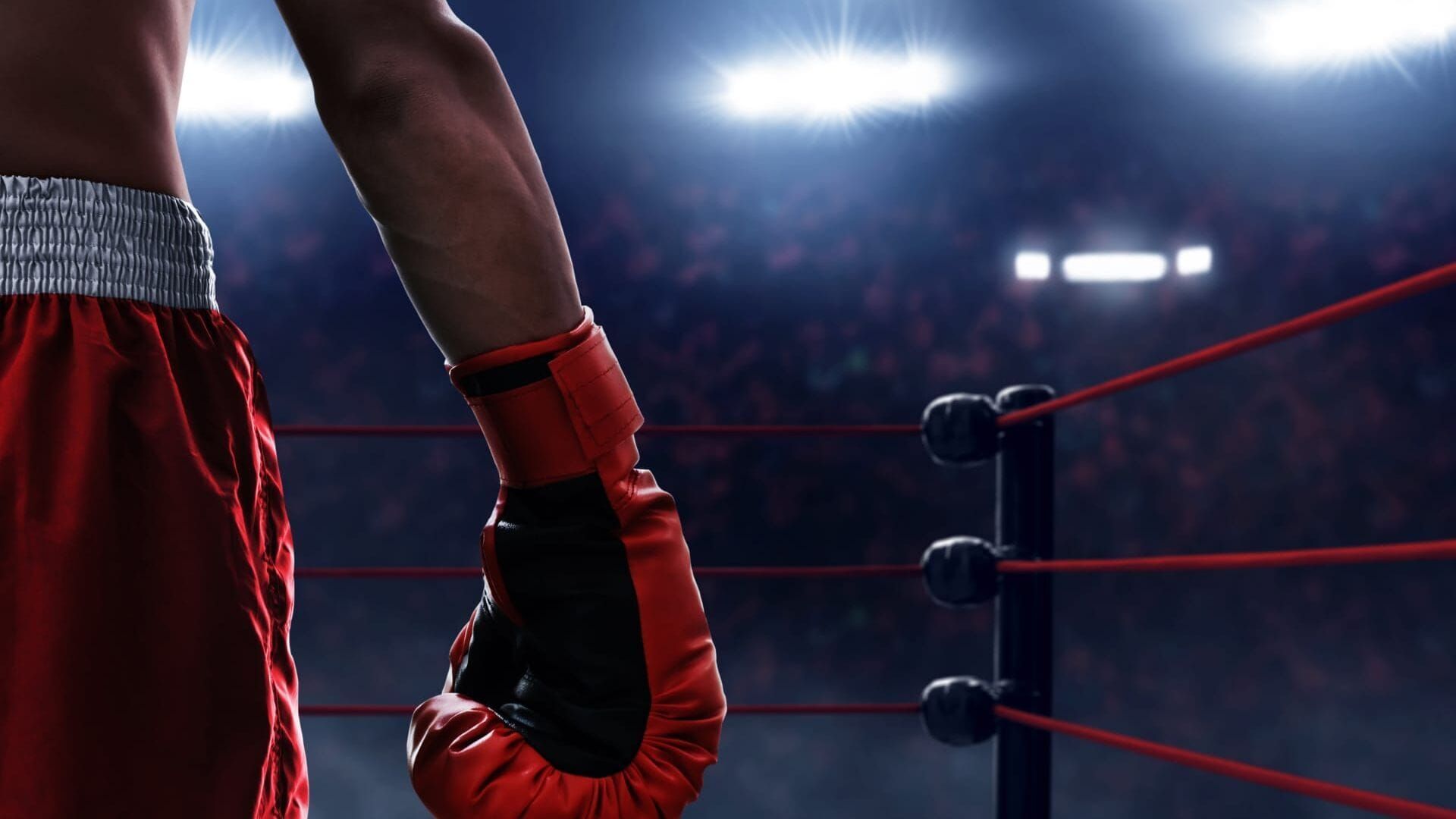 Boxe : Zuffa Boxing