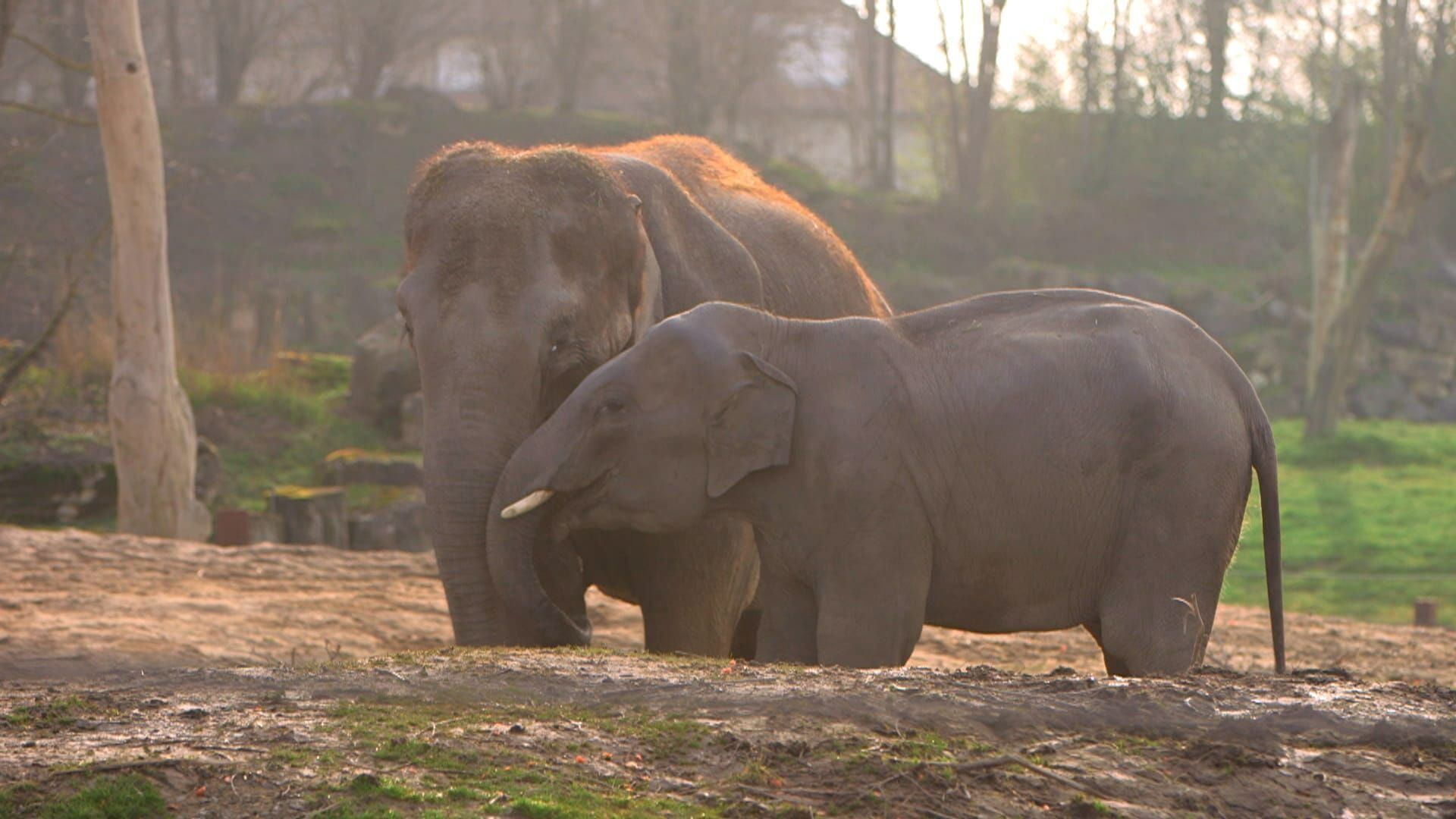 Le PAL : au coeur du zoo le plus insolite de France