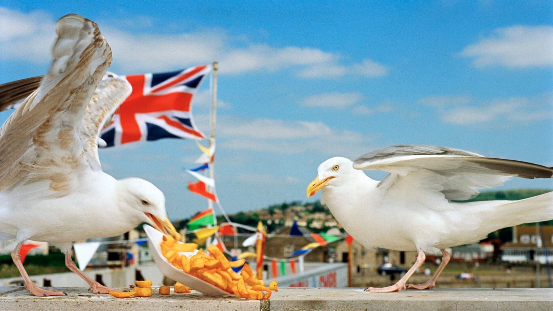 I Am Martin Parr, le photographe so British
