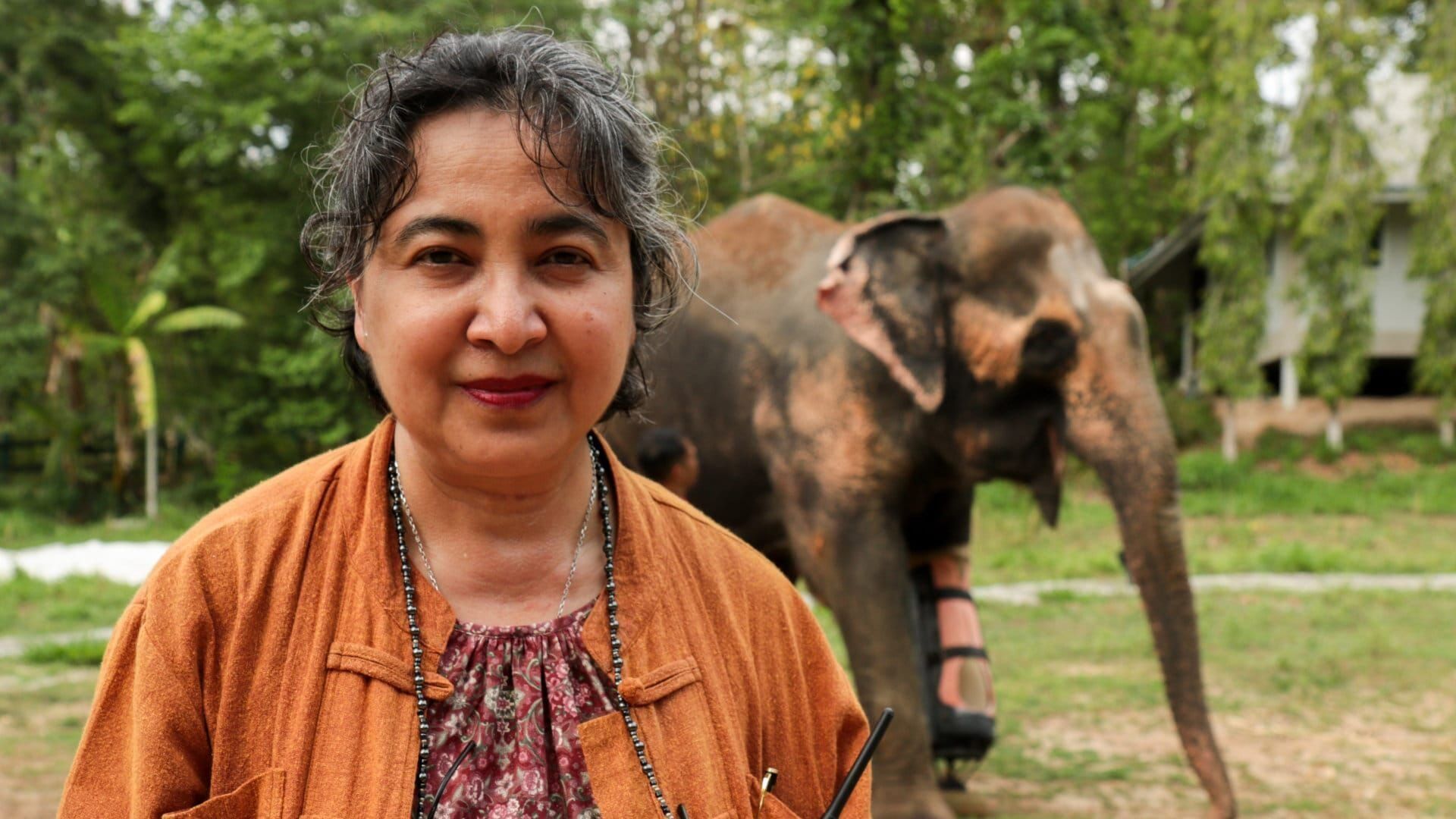 Thaïlande, l'hôpital des éléphants
