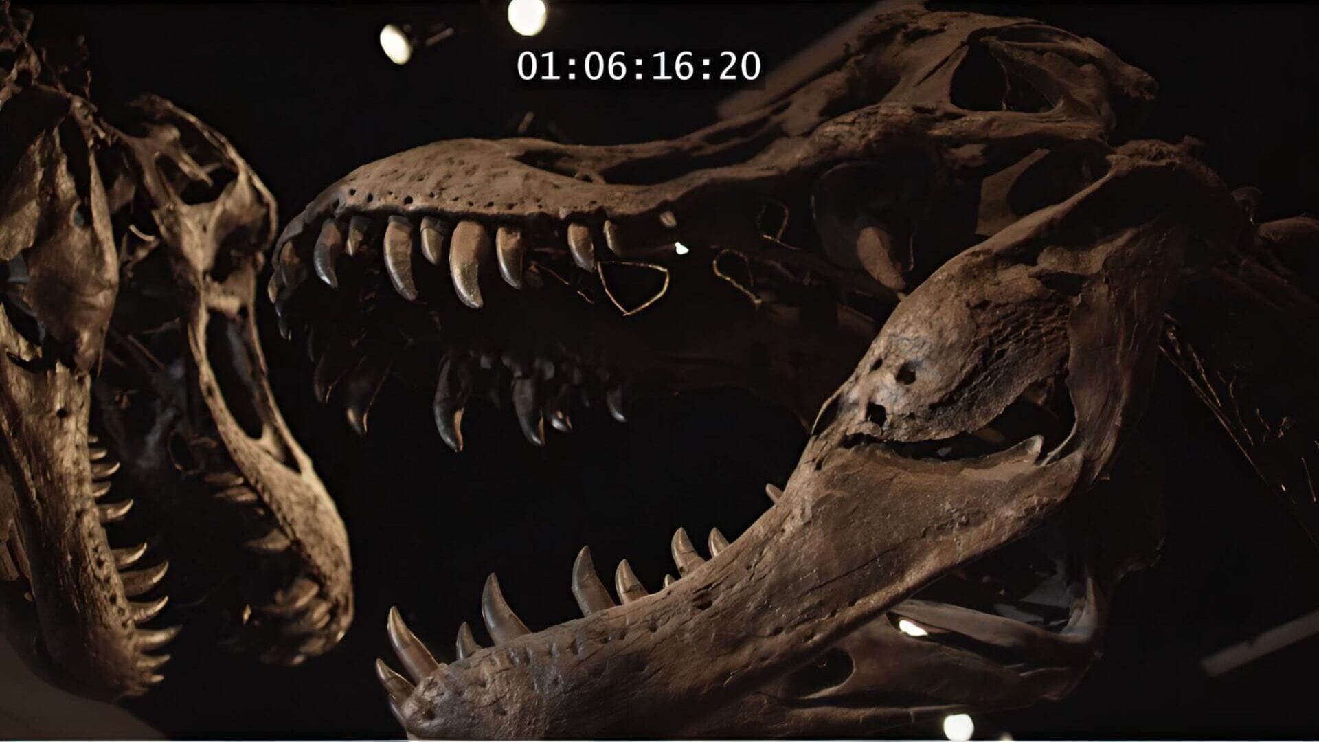 Avant Jurassic Park : l'apocalypse des dinosaures