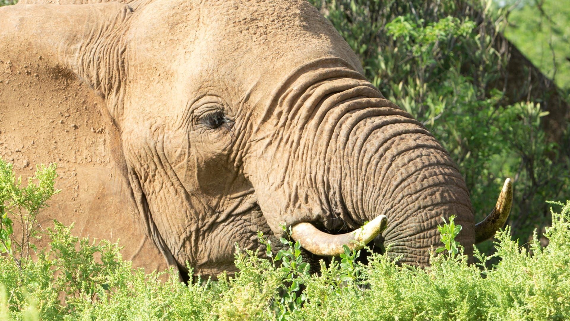 Kenya : au rythme des pluies