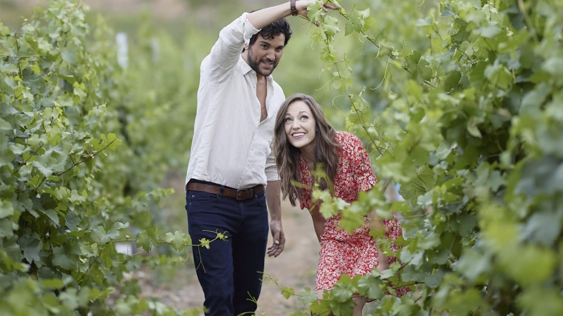 Un vignoble pour deux