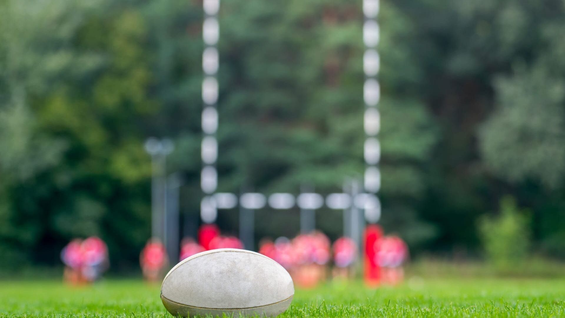 Rugby à XIII : State of Origin
