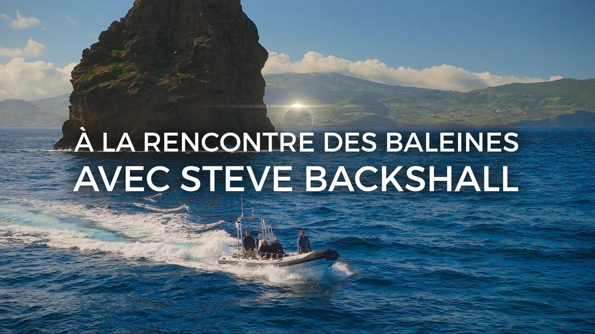 A la rencontre des baleines avec Steve Backshall