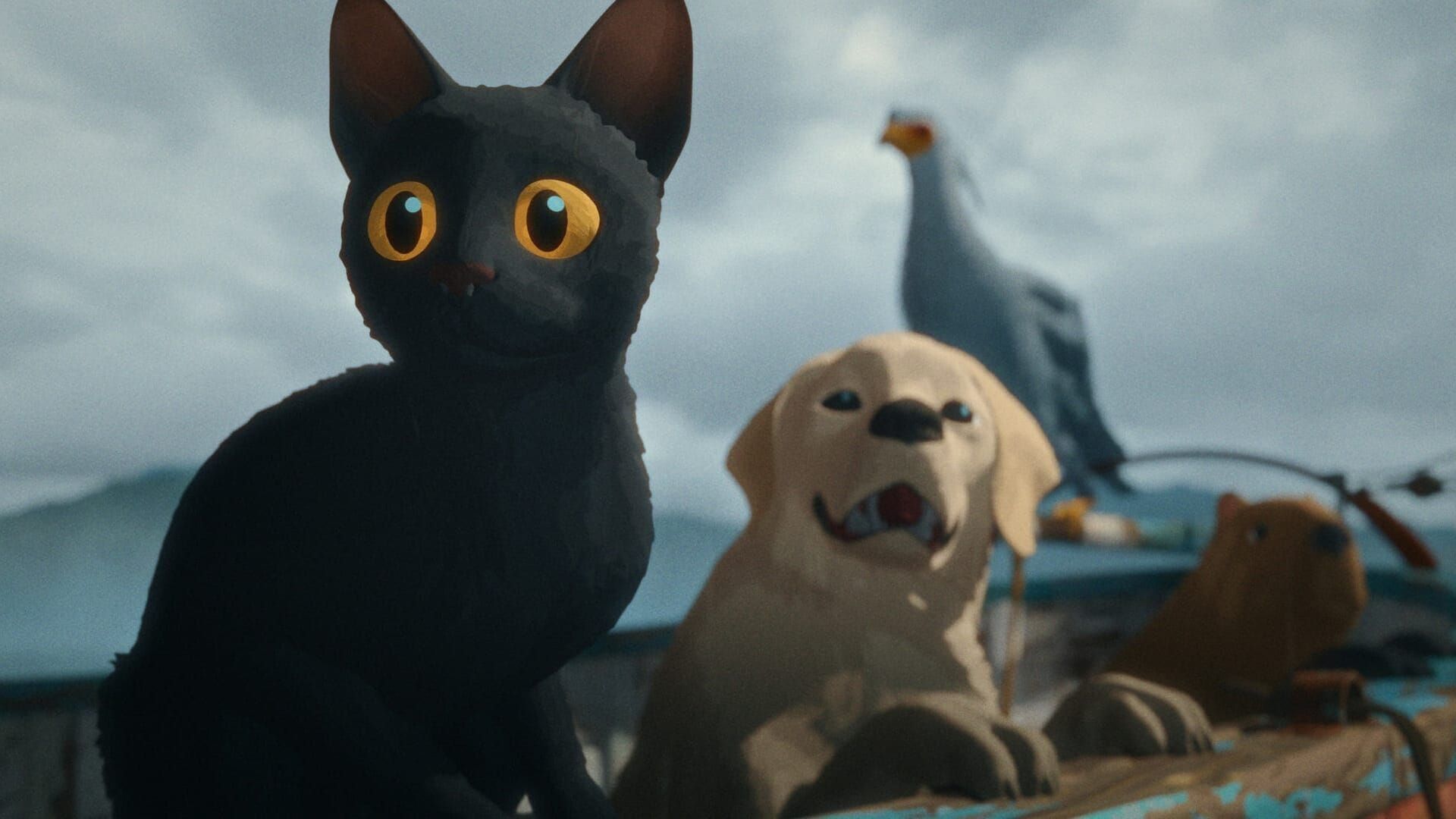 Flow, le chat qui n'avait plus peur de l'eau