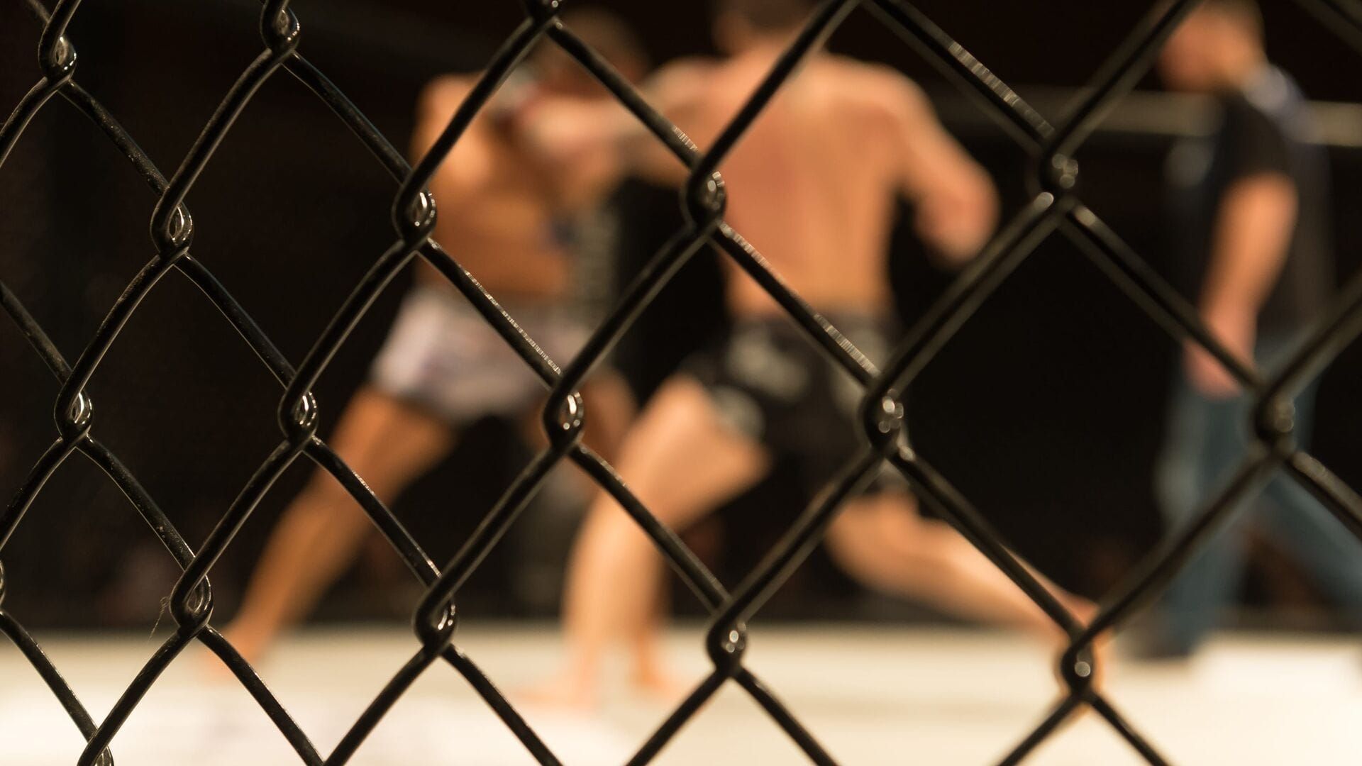 MMA : Soirée spéciale UFC