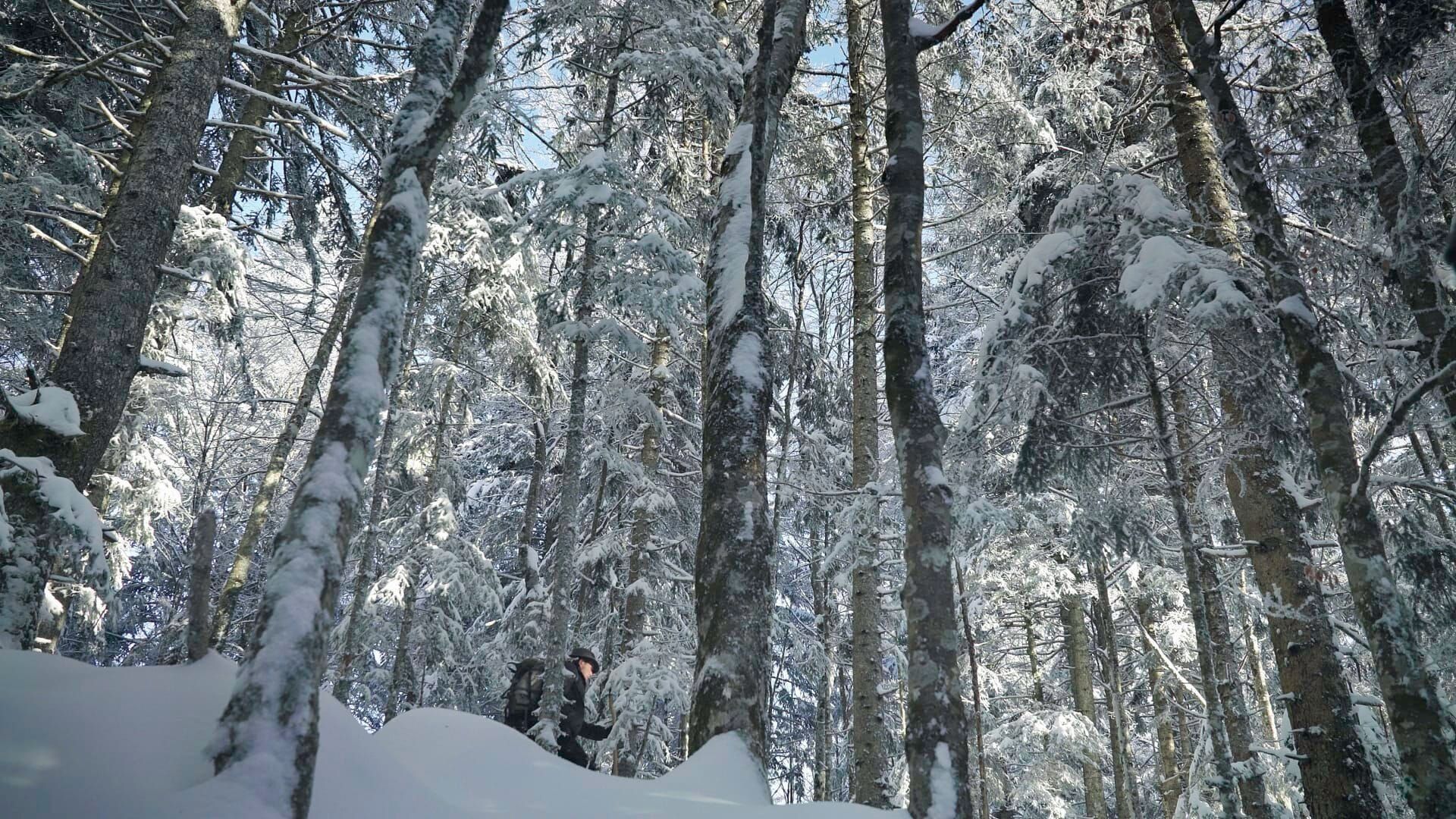 Les Pyrénées secrètes