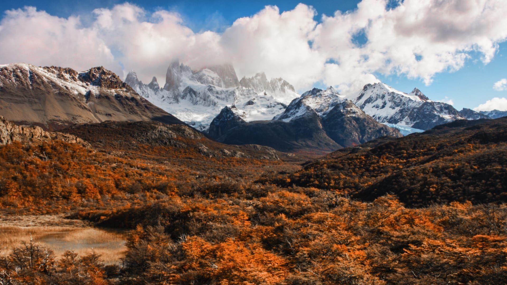 L'Argentine sauvage