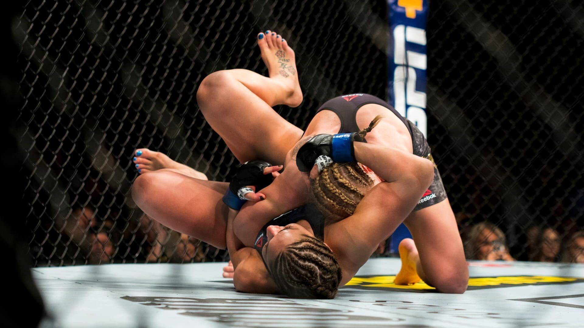 Les guerres à l'UFC Paris