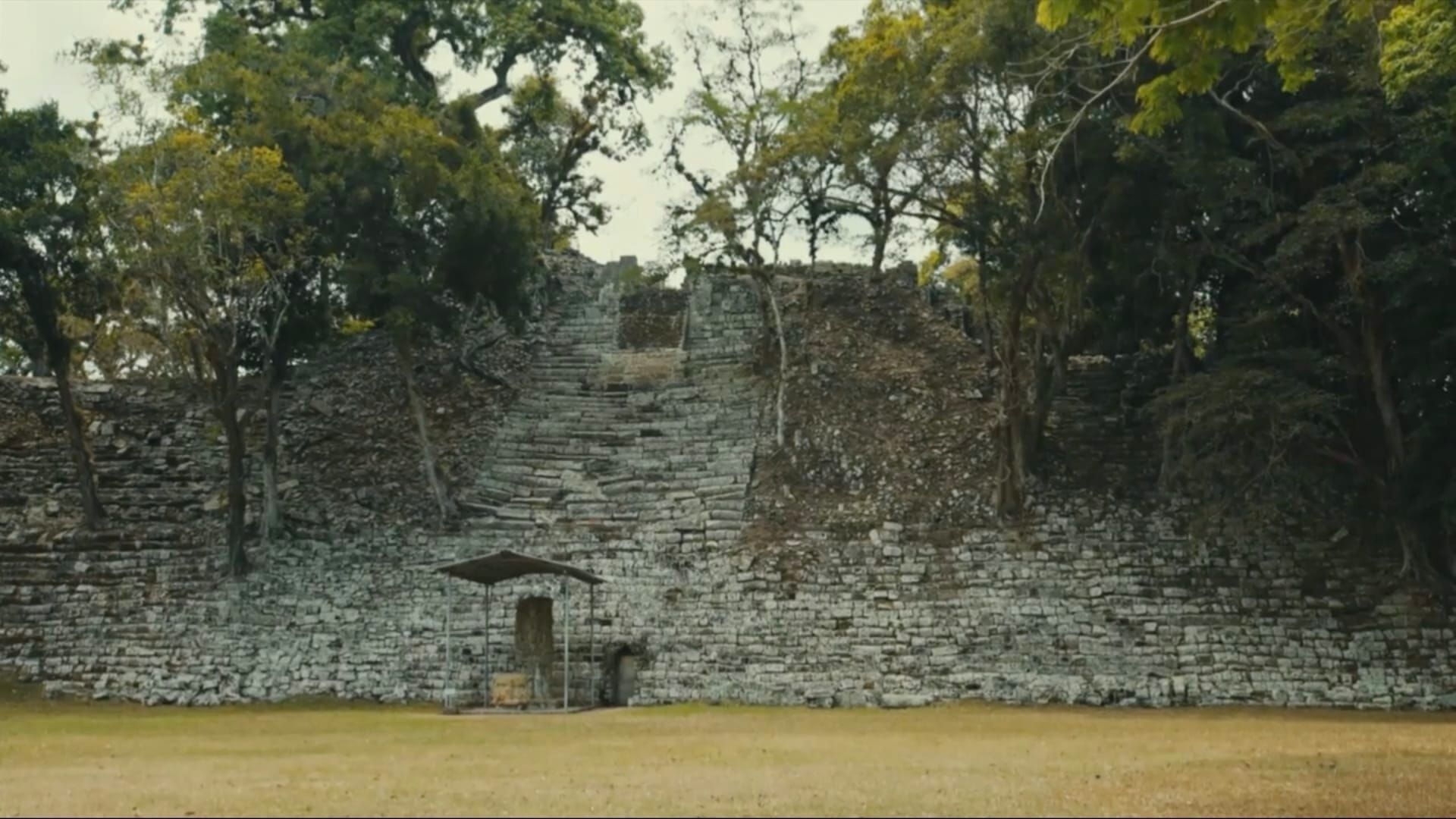 A la recherche des tombes royales mayas