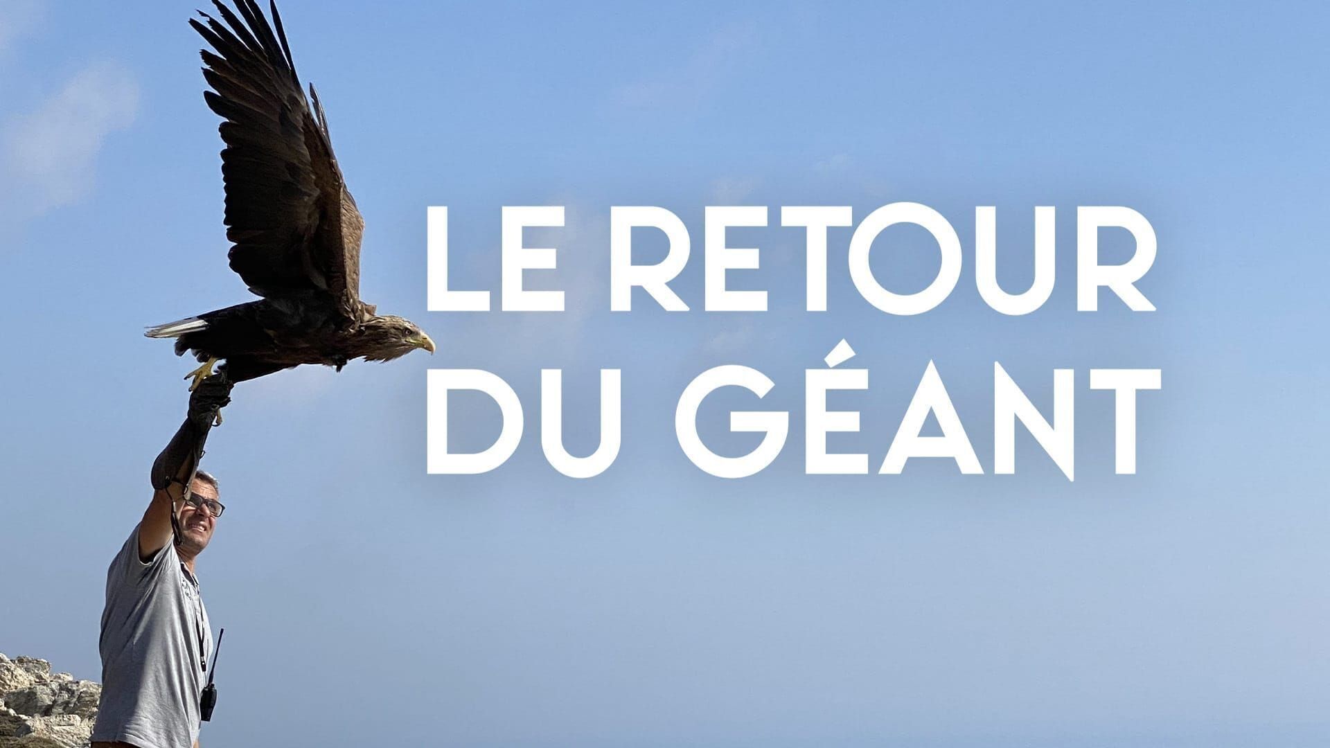 Le retour du géant