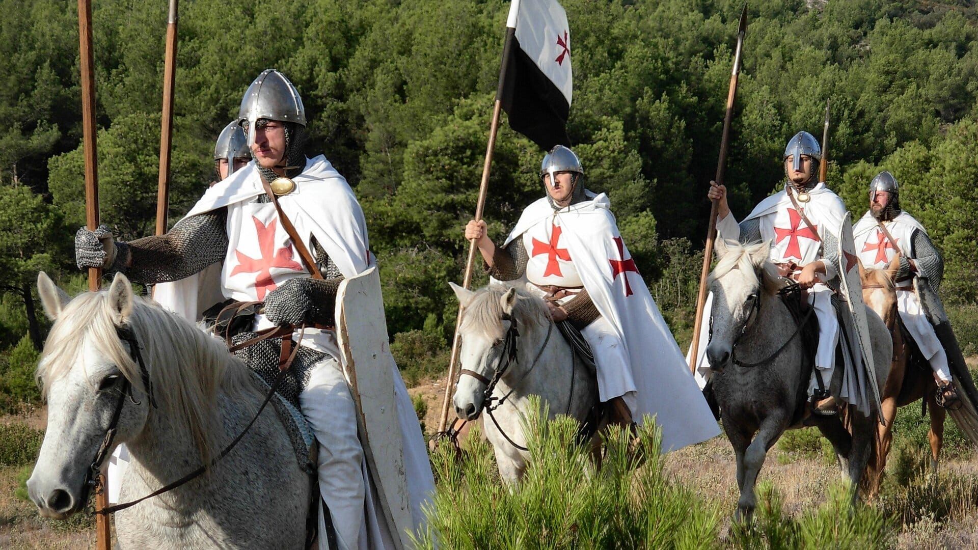 Les templiers : la démesure des bâtisseurs