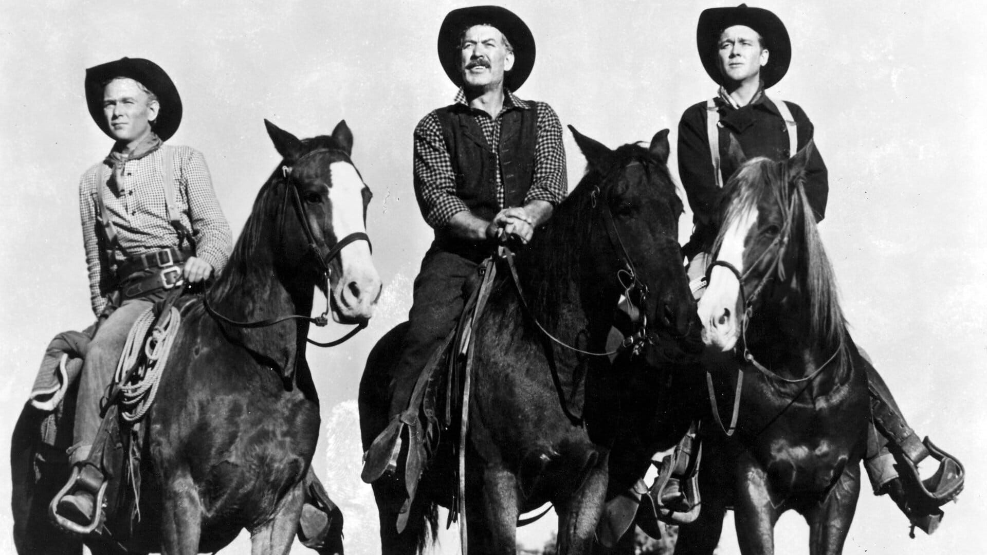 Le Convoi des braves