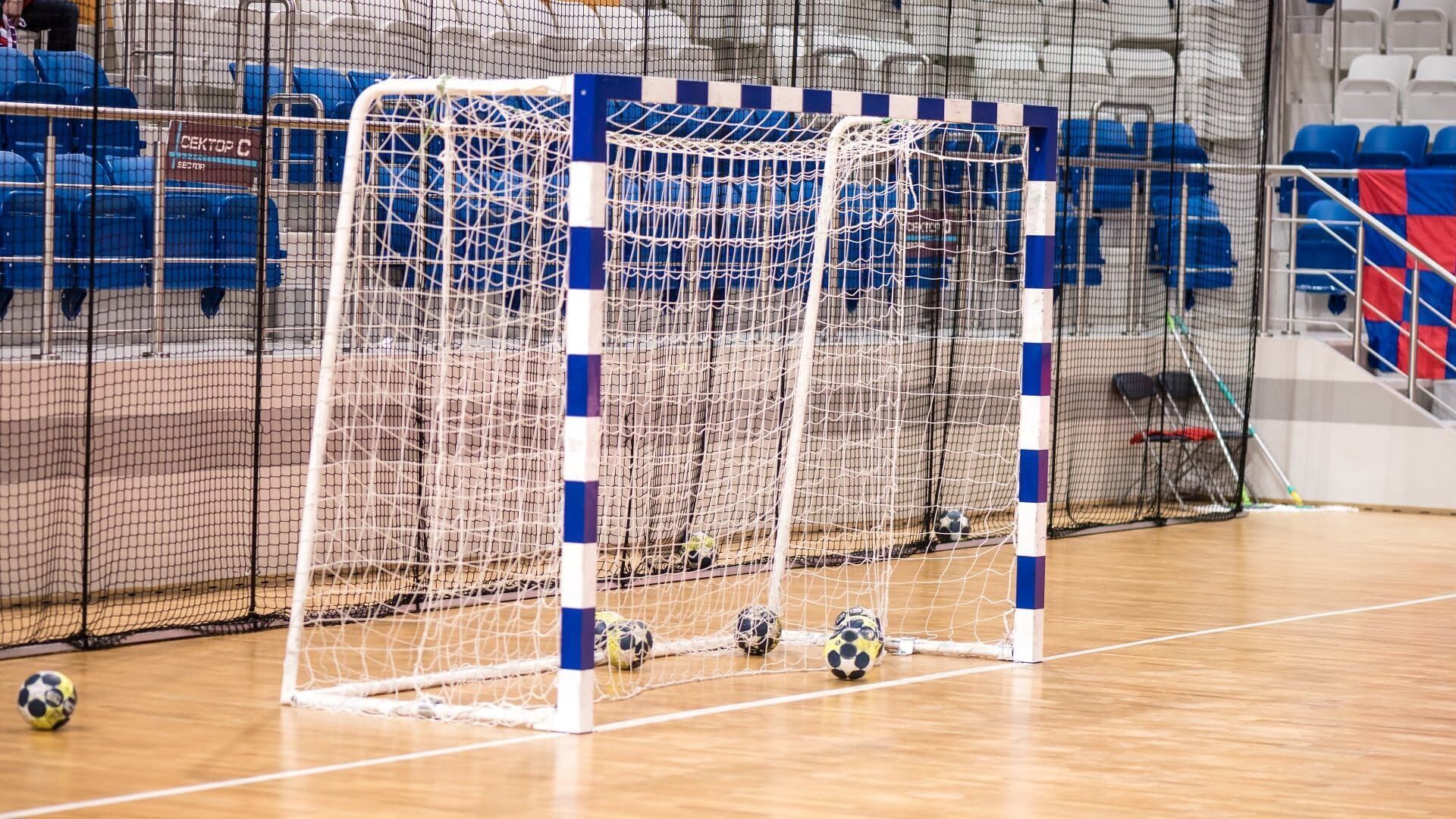 Handball : ProLigue