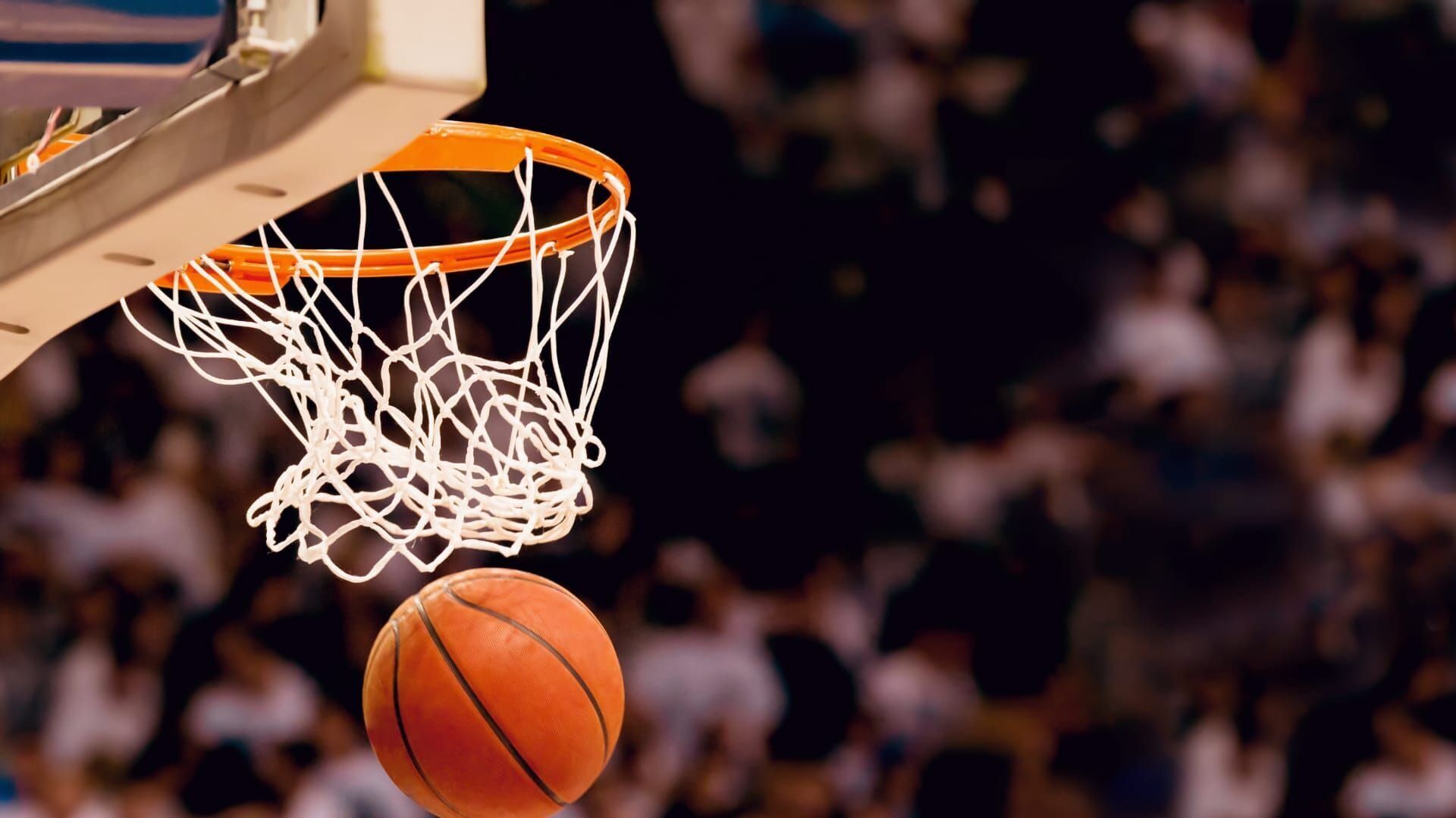 Basket-ball : Match amical international