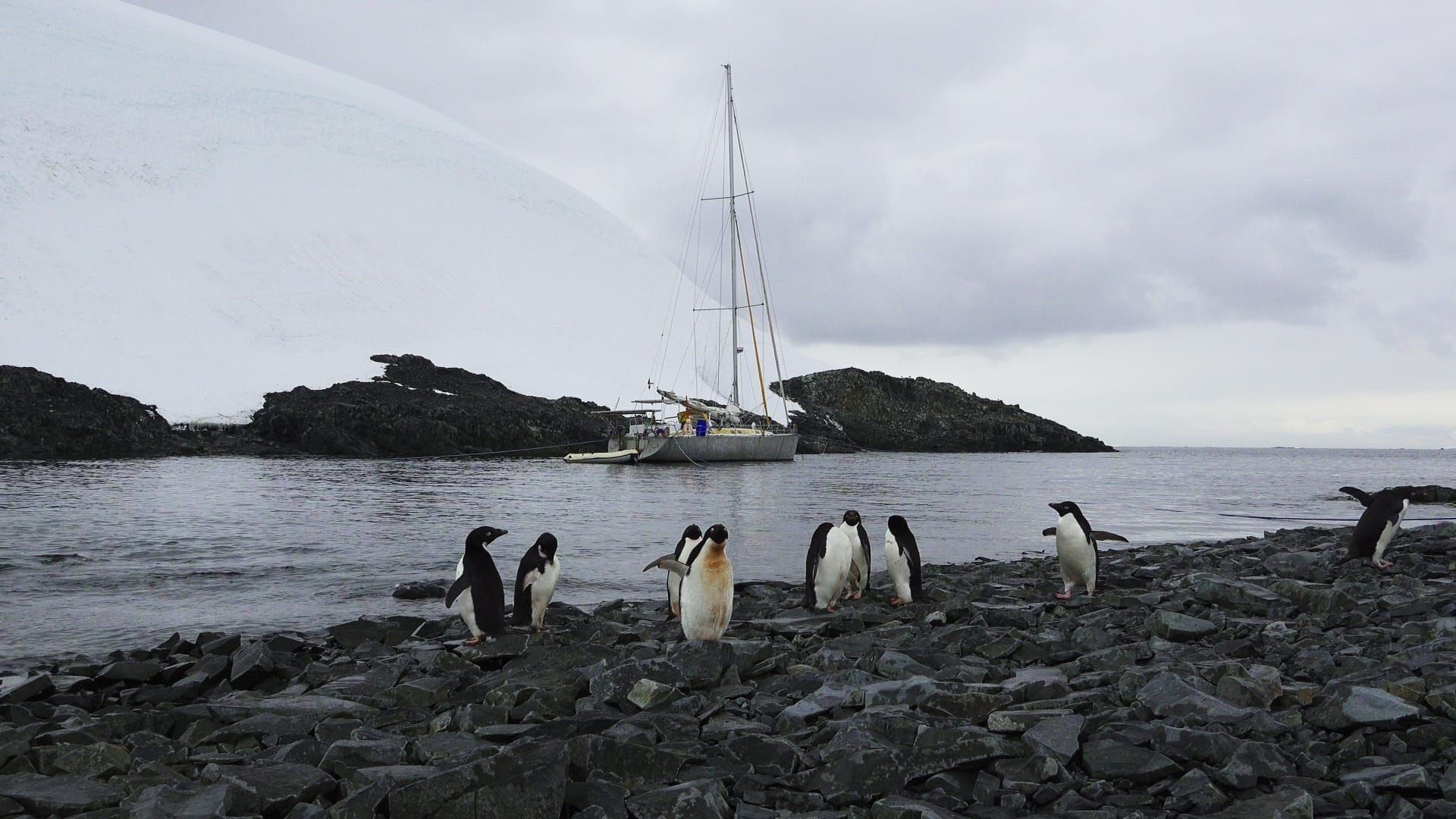 L'île d'Elle en Antarctique