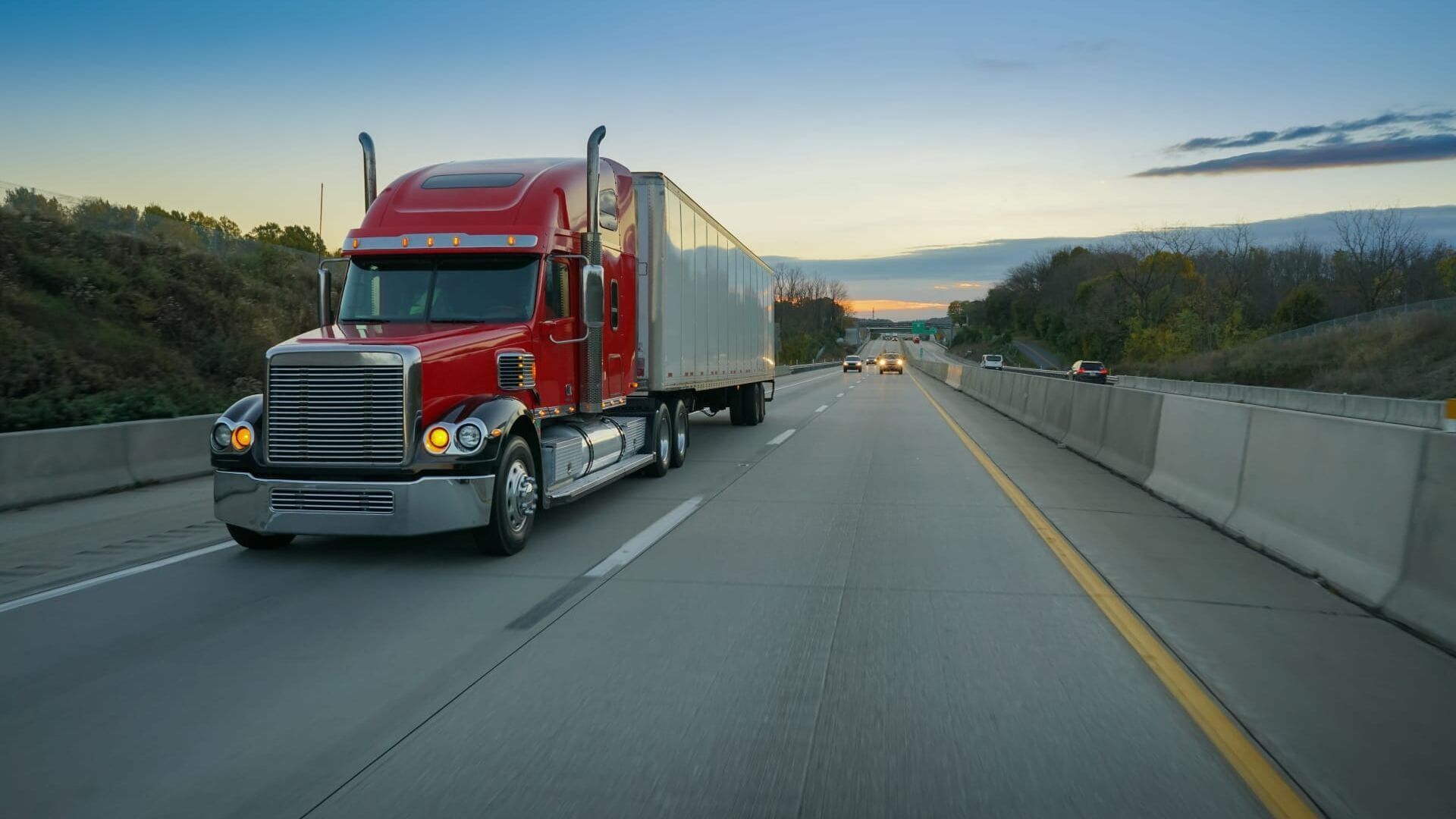Poids lourds : les géants de la route