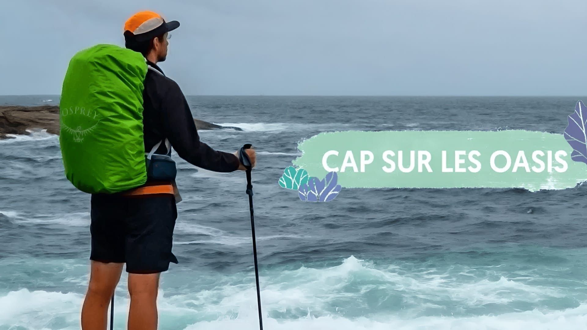 Cap sur les oasis